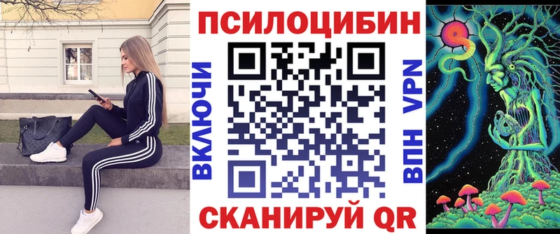 ОМГ ОМГ онион  Ветлуга  Псилоцибиновые грибы прущие грибы 